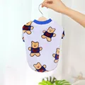 Blue bear