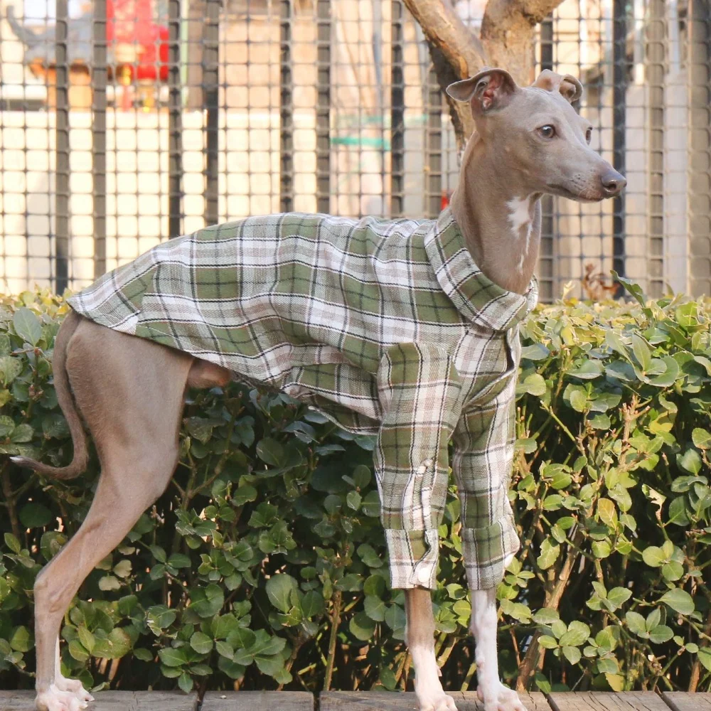 Abrigo de primavera de manga larga de algodón verde para perros medianos, camisa a cuadros de café suave para chaqueta roja Whippet de galgo italiano en otoño - imagen 3