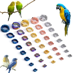 Anillos metálicos para patas de aves 4-15 mm - entrenamiento