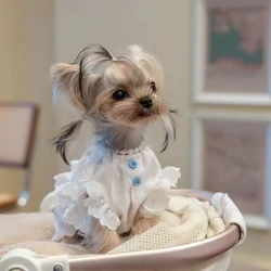 Vestido a rayas de primavera para gatos y perros pequeños - cómodo