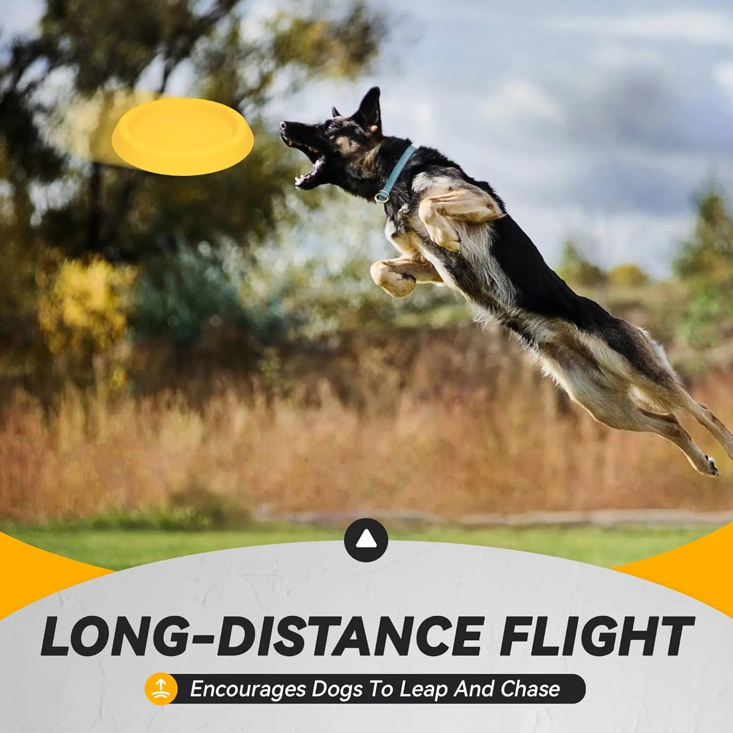 Discos para perros de juguete, discos voladores duraderos para lanzar y atrapar, duraderos para masticadores agresivos, juguetes flotantes de agua para entrenamiento para perros - imagen 2