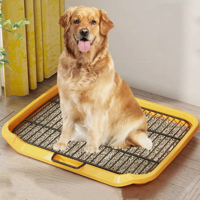 Inodoro interior perros acero inoxidable - Vista principal