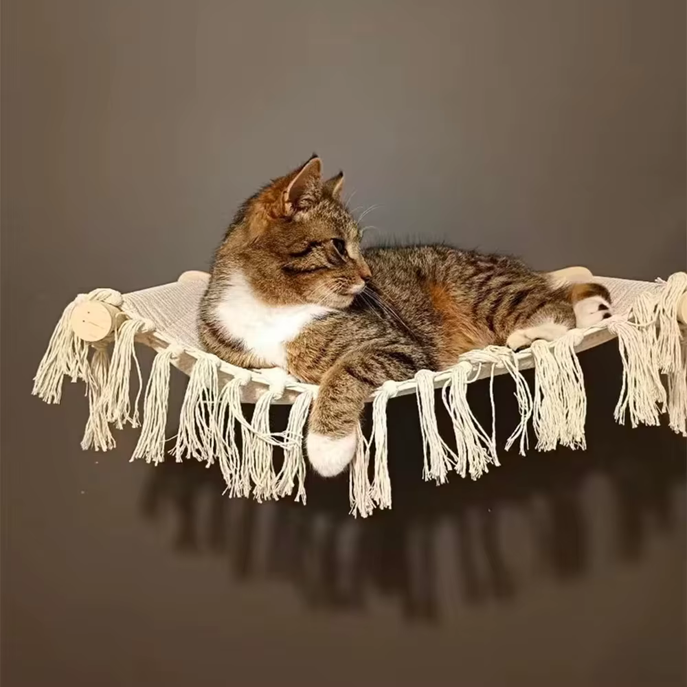 Estante elevado para gatos – Montaje en pared, madera natural - imagen 5