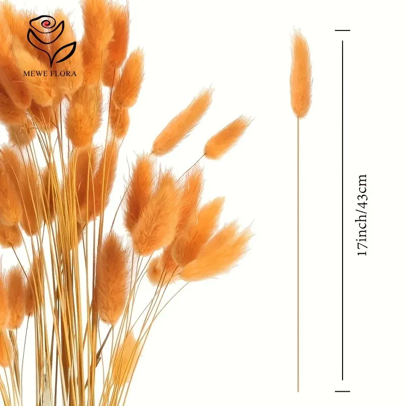 Adornos de acuario de hierba de cola de conejo seca Natural, decoración de pecera de otoño, paisaje subacuático DIY para el jardín del hogar, 60 uds. - imagen 4