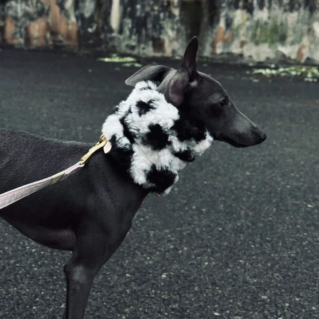 Orejeras anticongelantes cálidas para exteriores para perros en otoño invierno bufanda de lana suave y agradable para la piel en blanco y negro para galgo italiano - imagen 4