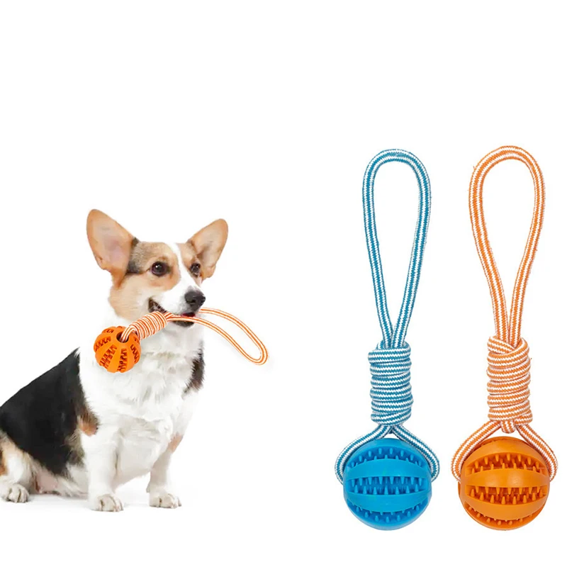 Pelota de juguete para perros con cuerda, pelotas interactivas con fugas para perros pequeños y grandes, juguetes para masticar resistentes a mordeduras, accesorios para entrenamiento de cachorros para mascotas - imagen 5
