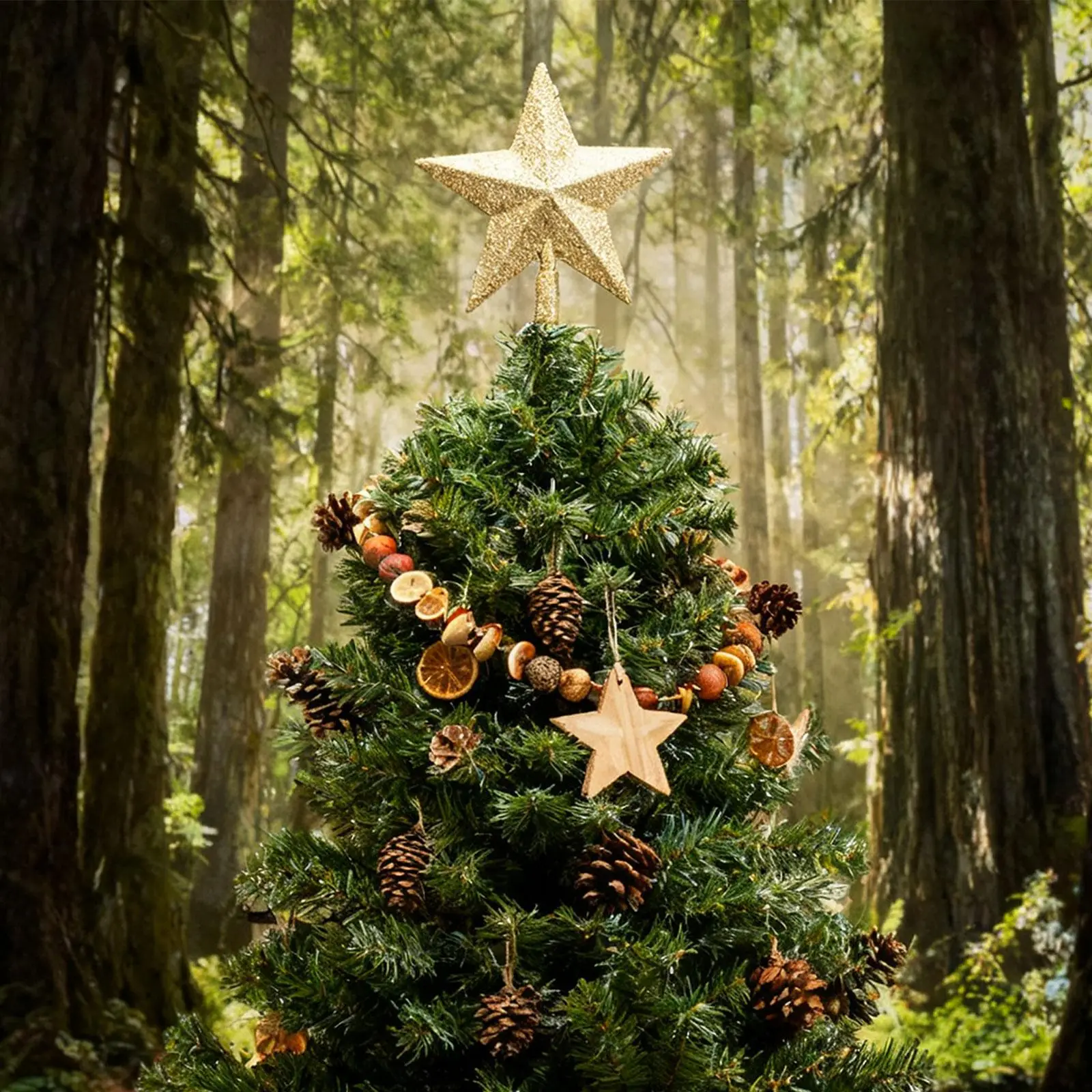 Suministros para Fiestas y Celebraciones