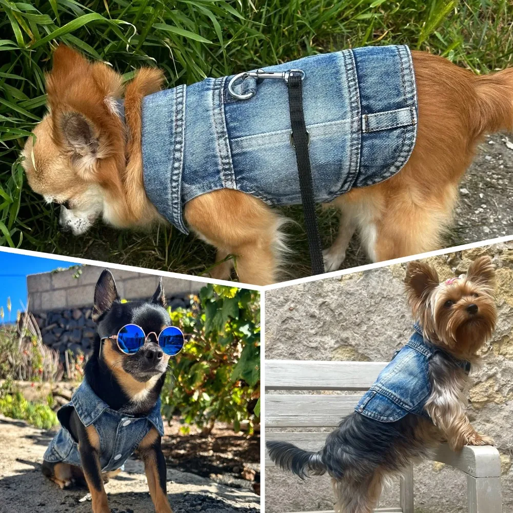 Chaqueta vaquera para perros, abrigo vaquero para niñas pequeñas y medianas, ropa para cachorros, chaleco con arnés de solapa y anillo en D para correa - imagen 5