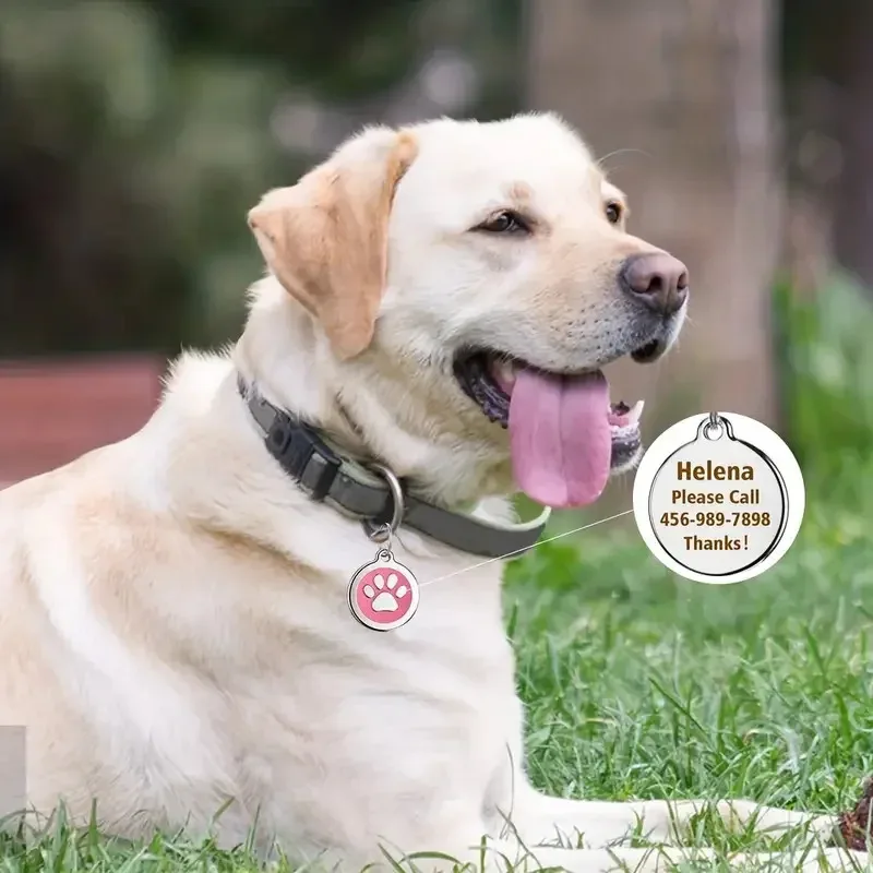 Etiqueta de identificación de gato con pata personalizada, grabada con nombre de mascota, placa de identificación personalizada para evitar pérdidas, adecuada para perros pequeños y gatos, 1 ud. - imagen 3