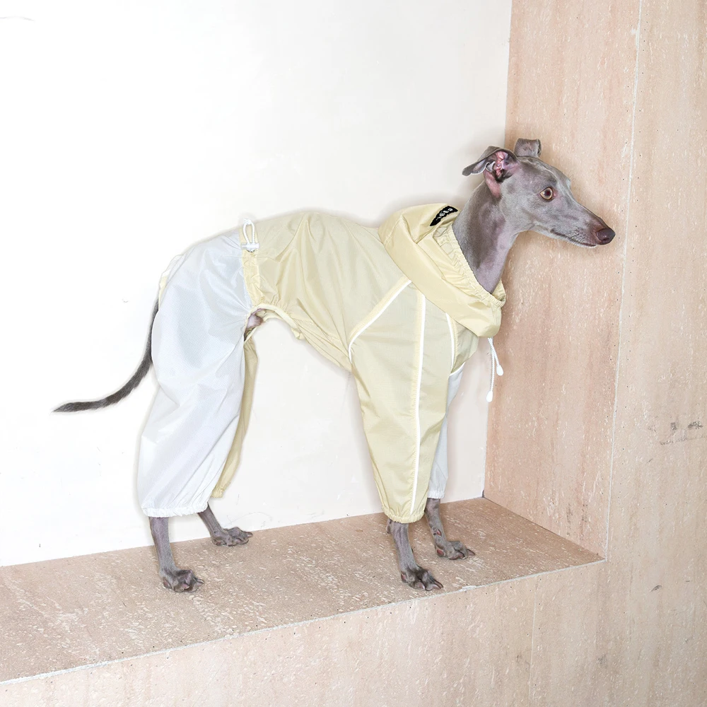 Chaqueta de Verano para Galgo Italiano UPF50+ Impermeable y Ligera - imagen 2