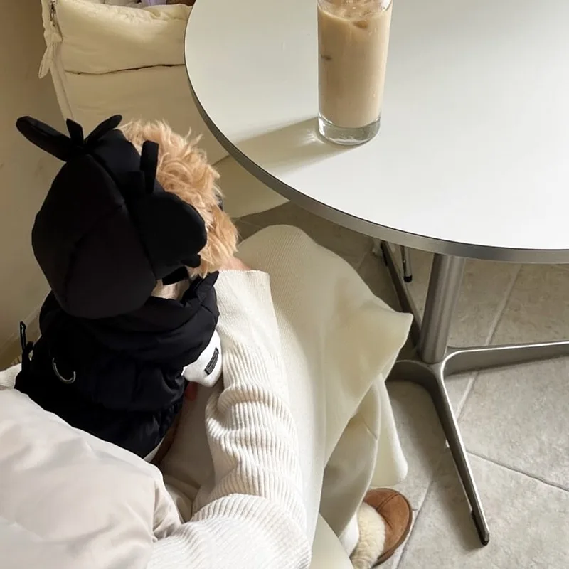 Abrigo de invierno para perros pequeños de color sólido | Ropa acolchada de plumón engrosada, cierre a presión de dos pies estilo Teddy (sin sombrero) - imagen 5