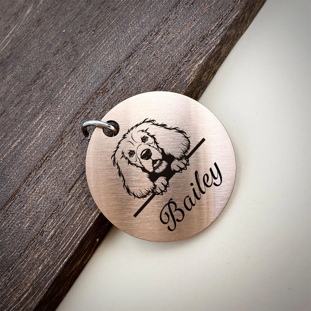 Placa identificativa acero inoxidable mate para perros y gatos - imagen 2