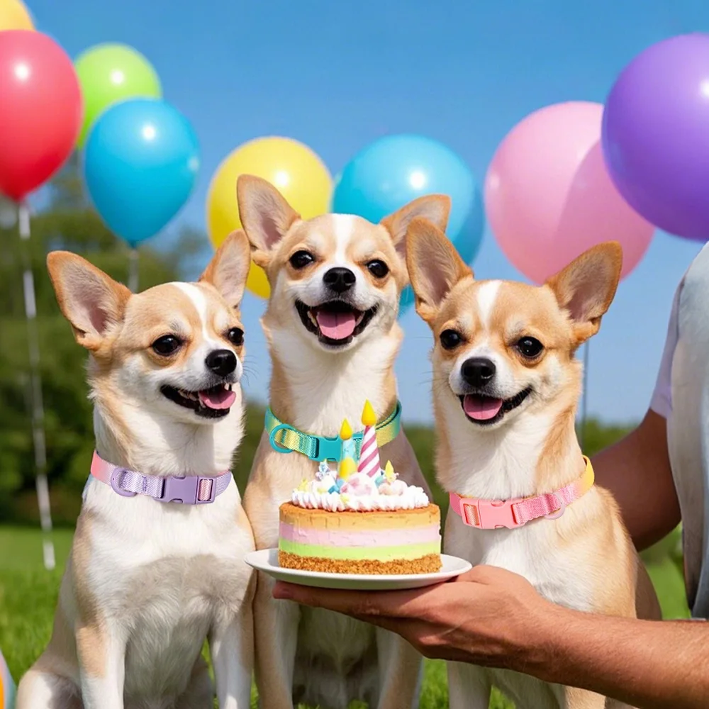 Collar de nailon para perros pequeños, medianos y grandes, macarrón, collares ajustables para mascotas, collares hinchados coloridos duraderos, Chihuahua, 4 colores - imagen 5