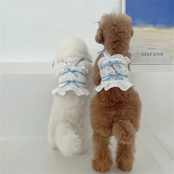 Faldita de encaje azul para perro pequeño – Ropa de verano transpirable