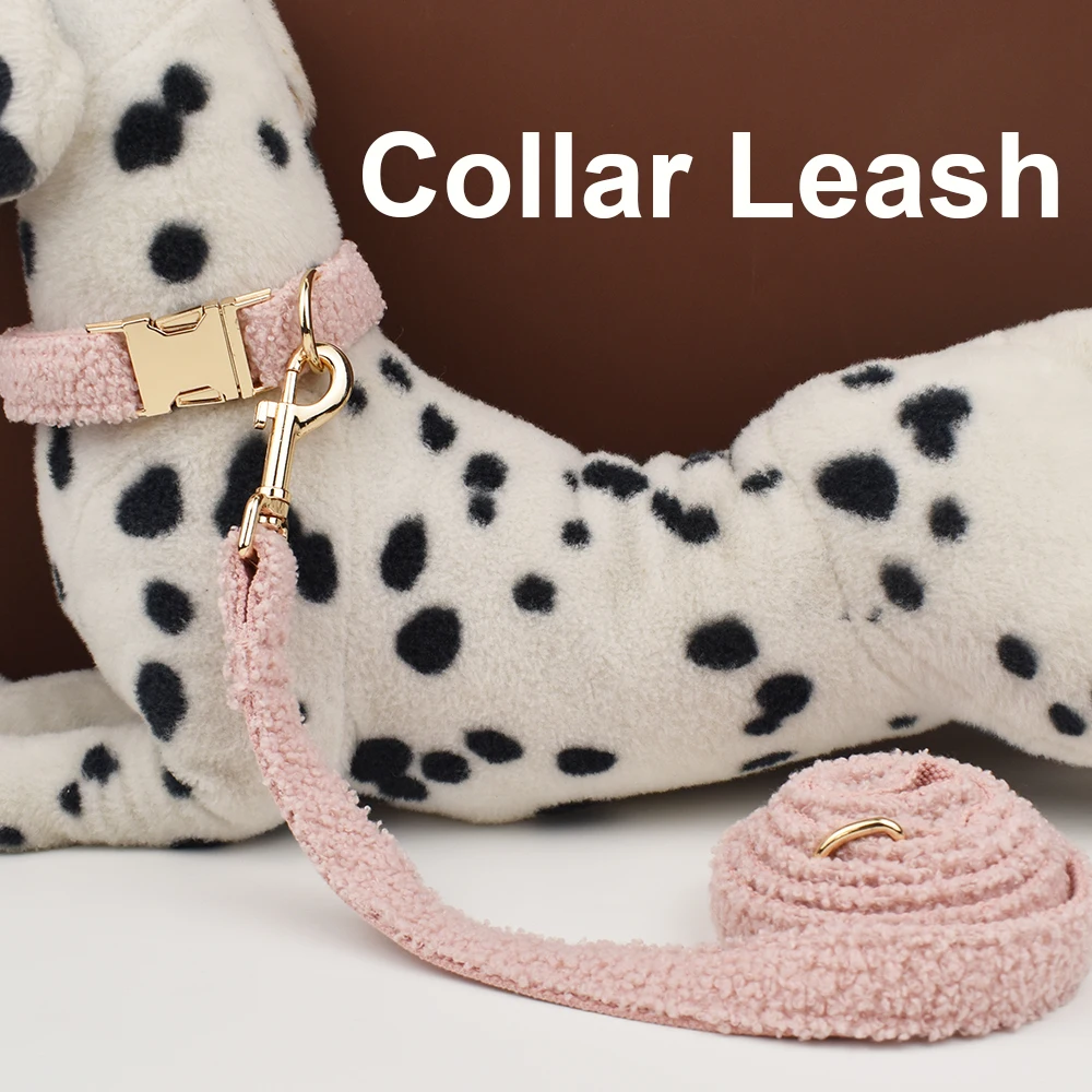 collar and leash set