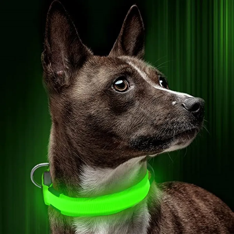 Collar LED USB para Perros con Carga Recargable - imagen 3