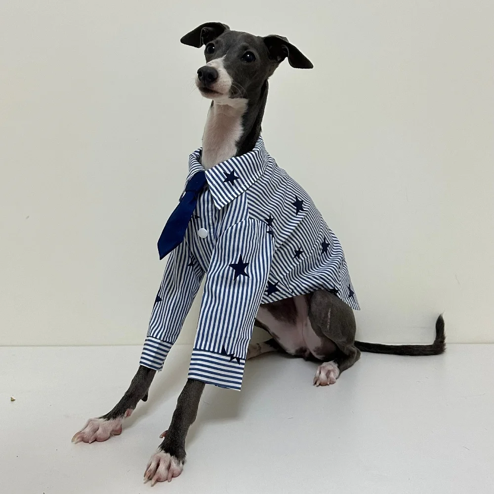 Camisa de algodón azul a rayas con corbata para perros, Galgo, estilo Retro, estrellas, manga larga, abrigo Whippet belington, ropa de estar por casa para primavera - imagen 5