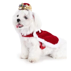 Ropa de Halloween para perros, capa roja para cachorros, ropa para perros grandes, rey y reina, accesorios navideños para perros, disfraz ajustable con foto