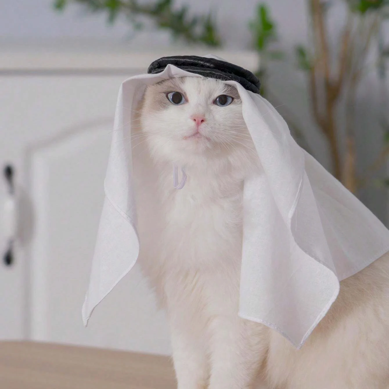 Gorro Bandana para mascotas, protector solar a prueba de viento, a prueba de arena, hecho a mano, disfraz para mascotas, mascota Cos, 1 ud.