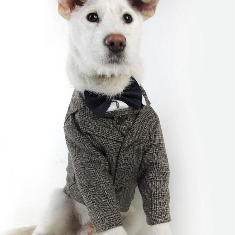 Abrigo para perro toro francés, chaleco para fiesta de boda, vestido de primavera, chaleco para perro, trajes para perros pequeños, medianos y grandes de diseñador de lujo, ropa de caballero - imagen 3