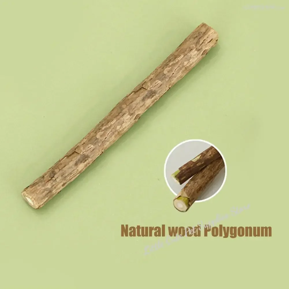 Juguete de entrenamiento Teaser para gatos, juguete para la dentición de gatitos, juguete para masticar para gatos en forma de cebollino, entrenamiento para aliviar la dentición, mascota de fieltro suave para gatitos - imagen 3