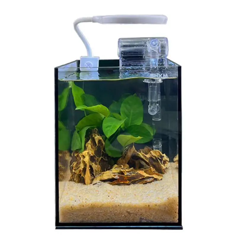 Paisajismo escritorio de cristal pecera escritorio Micro tanques ecológicos tanque Douyu peceras pequeñas sin agua vidrio ultrablanco - imagen 4