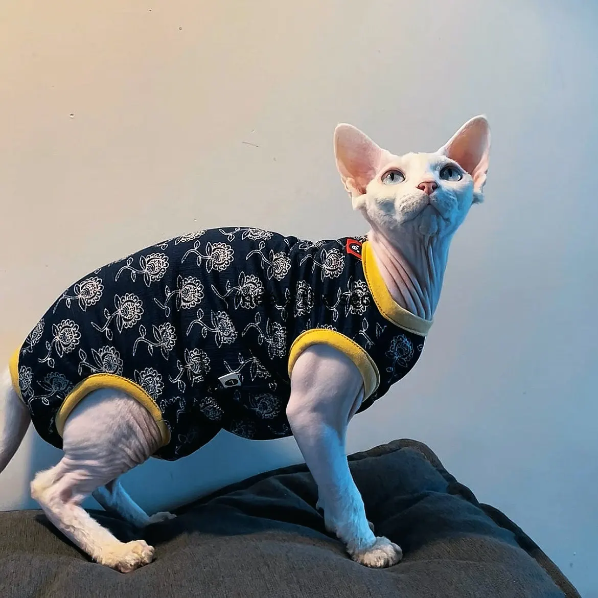 Camiseta elástica de algodón suave para Esfinge Devon Rex azul oscuro
