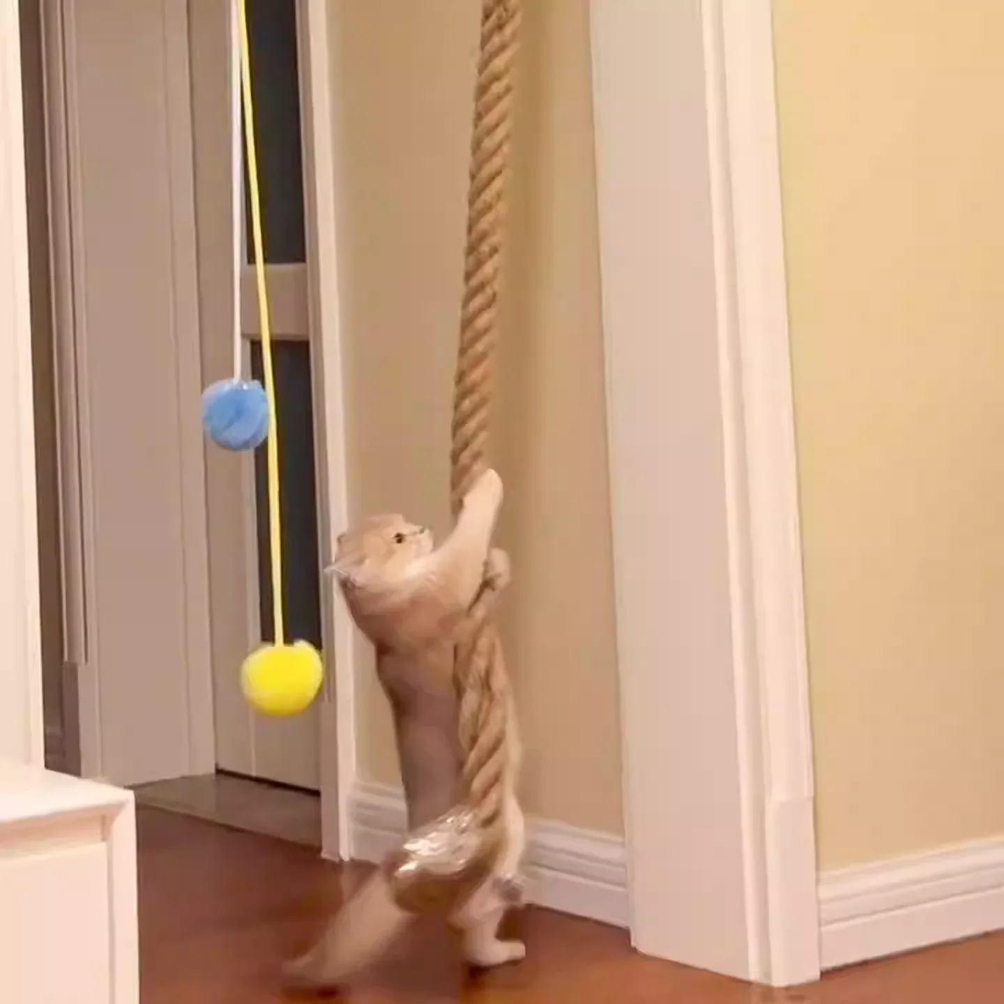 Poste rascador de pared con sisal y escalones de madera para gatos