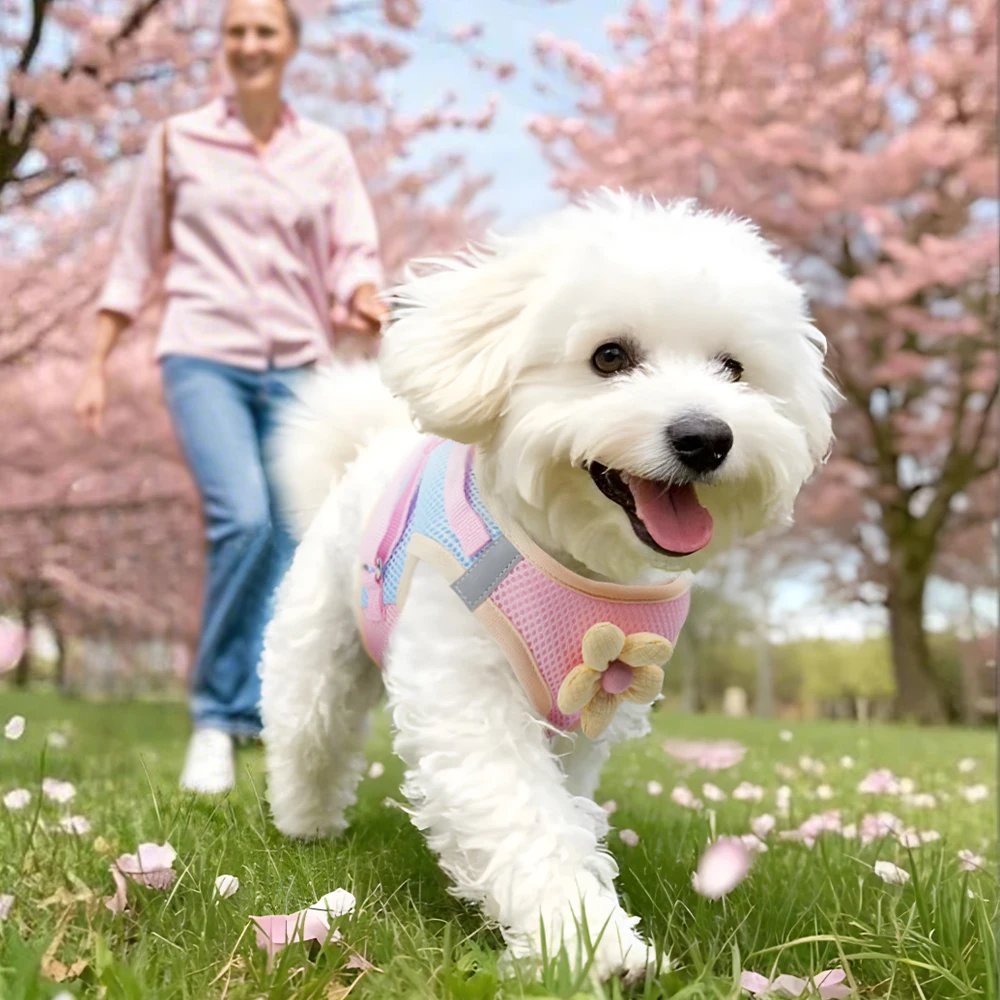 Arnés de moda para cachorros y gatos con malla de flores, juego de correas y correas transpirables para perros pequeños y medianos, accesorios para mascotas - imagen 3