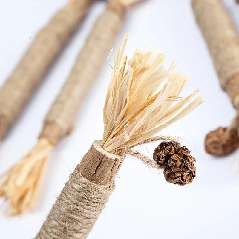 Matatabi Natural para mascotas, palillos de aperitivos para gatos, limpieza de dientes, hierba gatera, juguetes para gatos, Actinidia Silvervine, juguete para mascotas, accesorios para gatos - imagen 5