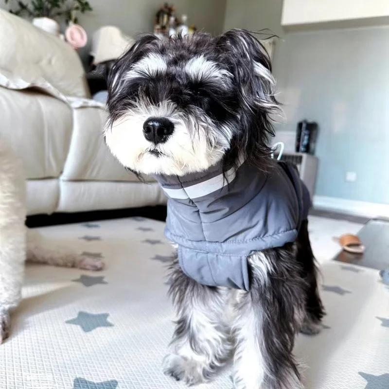 Ropa de invierno para perros, chaqueta reflectante impermeable para mascotas, para perros pequeños y medianos, Bulldog Francés, Golden Retriever, traje de capa de lluvia - imagen 3
