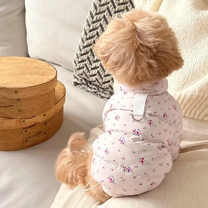 Chaqueta cálida de invierno para mascotas, abrigo de algodón grueso para Bichon Frise, cachorros pequeños y de peluche, ropa para cachorros con diseño de dos patas - imagen 3