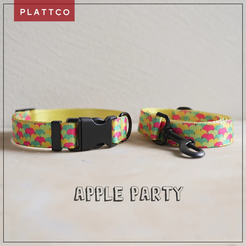 Collar y correa de nailon para perro – 5 tallas disponibles