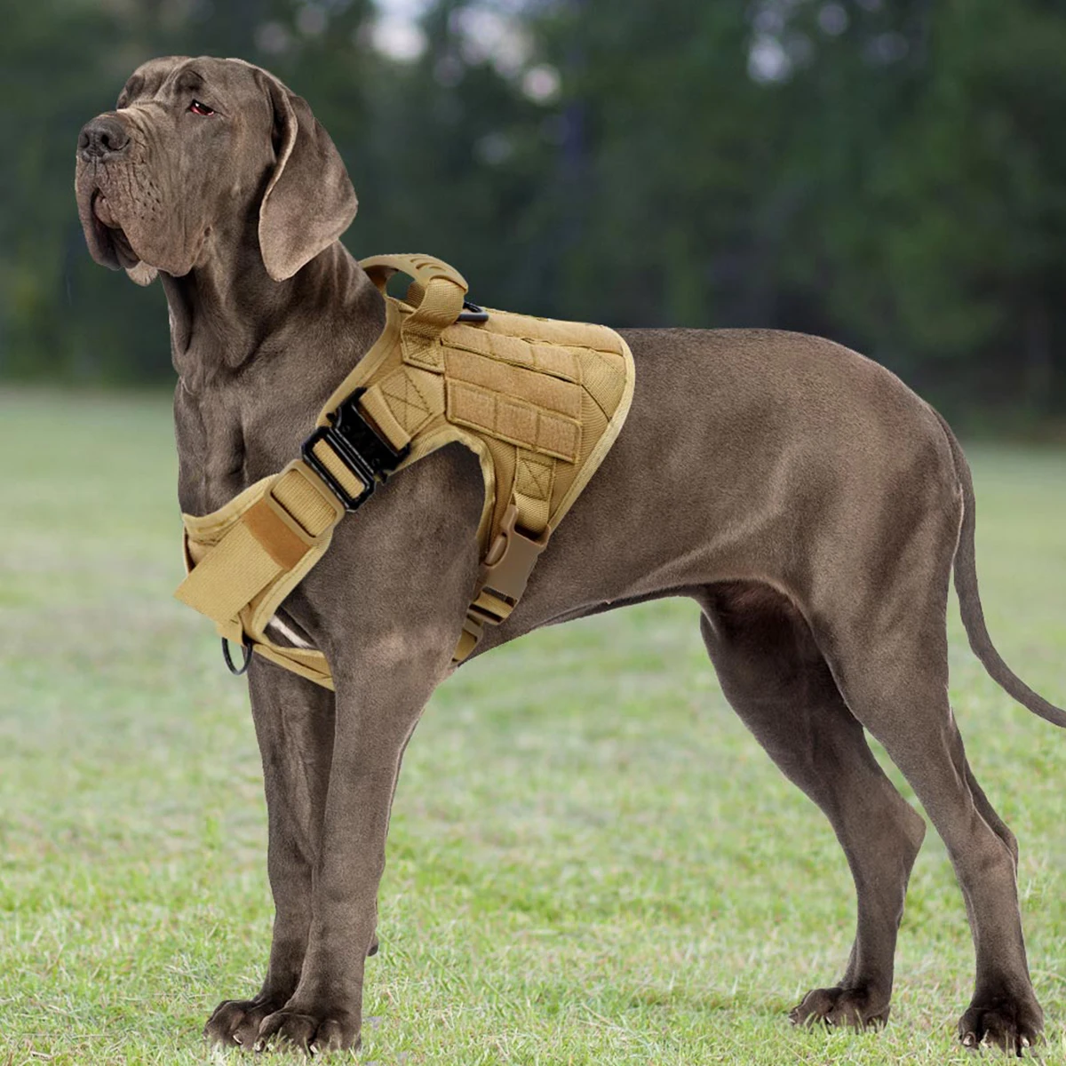 Arnés táctico militar para perros, chaleco K9 para perros, entrenamiento de pastor alemán, accesorios para caminar para perros medianos y grandes - imagen 5