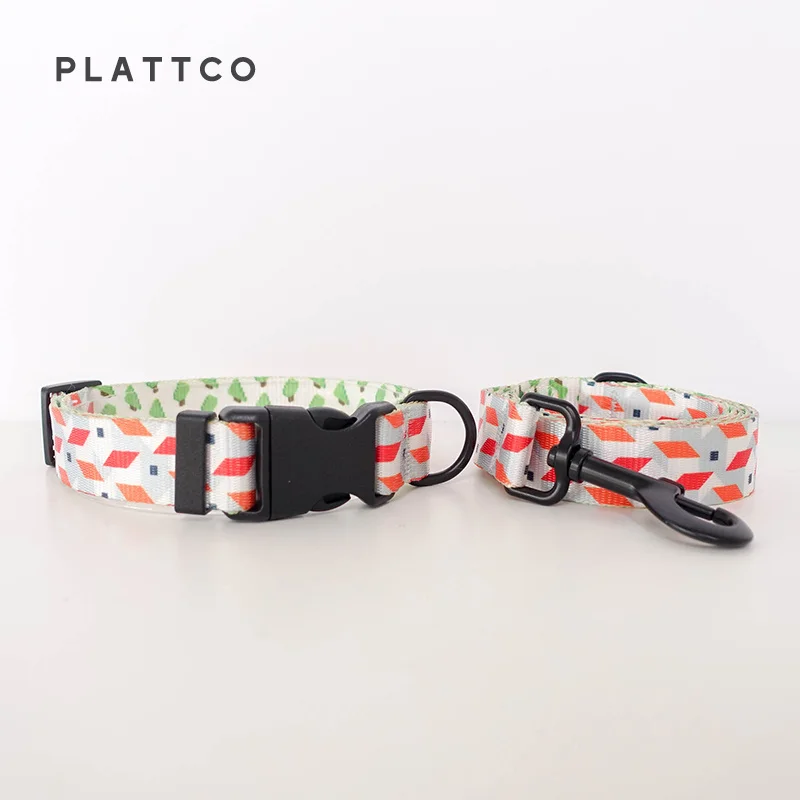 Dog Collar Leash Set