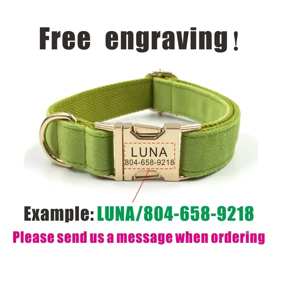 Collar de perro personalizado, correas a juego, contactos de nombre de identificación personalizados, hebilla de Metal, collares ajustables de terciopelo verde para perros y mascotas - imagen 4
