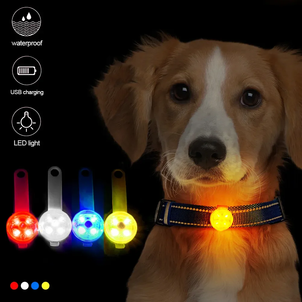 Collar de prevención de pérdida de mascotas, colgante luminoso recargable por USB, LED de seguridad impermeable, Collar brillante para exteriores - imagen 3