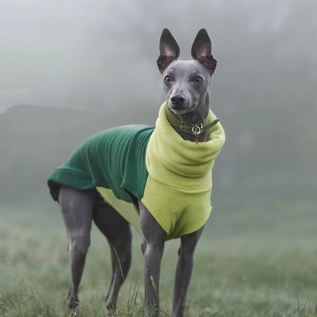 Abrigo para galgos perros y whippets forro polar verde cuello alto - imagen 5