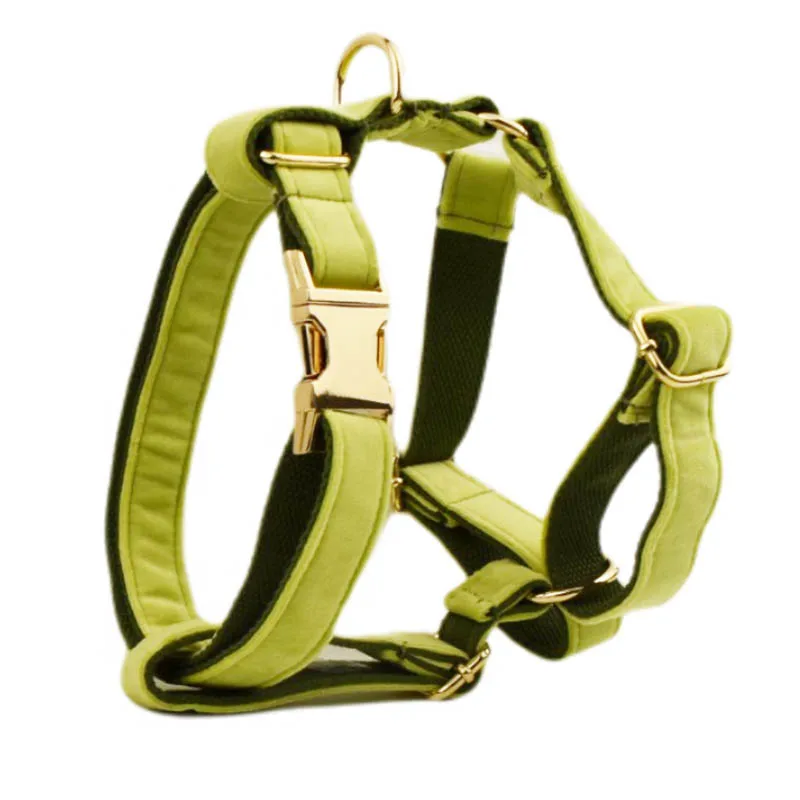 Harness