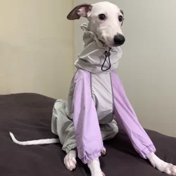 Chubasquero impermeable para galgo italiano y whippet