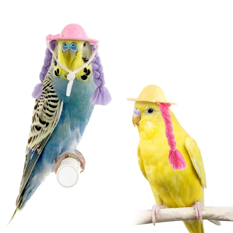 Sombrero para hámster conejillo de indias, trenzas, loro, mascota, sombrero pequeño, accesorios, Mini muñeco de pájaro de Guinea, accesorios, sombrero de disfraz de fiesta para mascotas - imagen 2