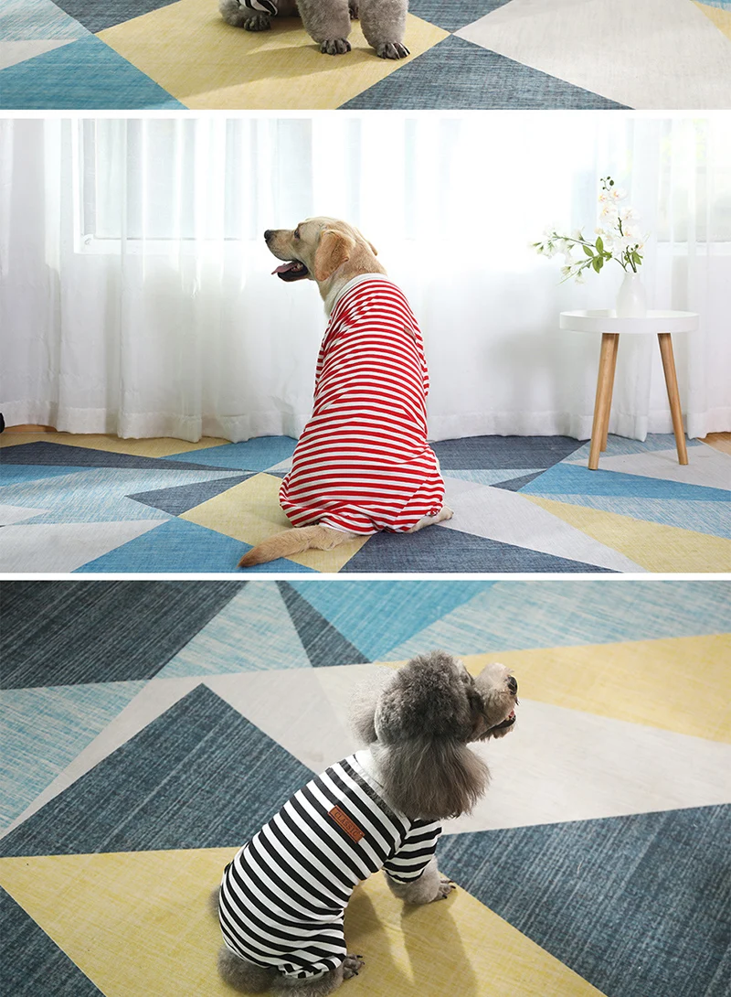 Perro cómodo con camiseta transpirable en interior