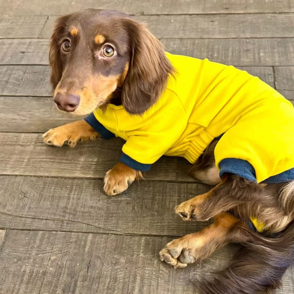 Suéter de lana amarillo cálido para perros salchicha, sudadera de cuello alto de 4 patas para insignias de perros, abrigo de invierno a prueba de viento para perros Wiener - imagen 4