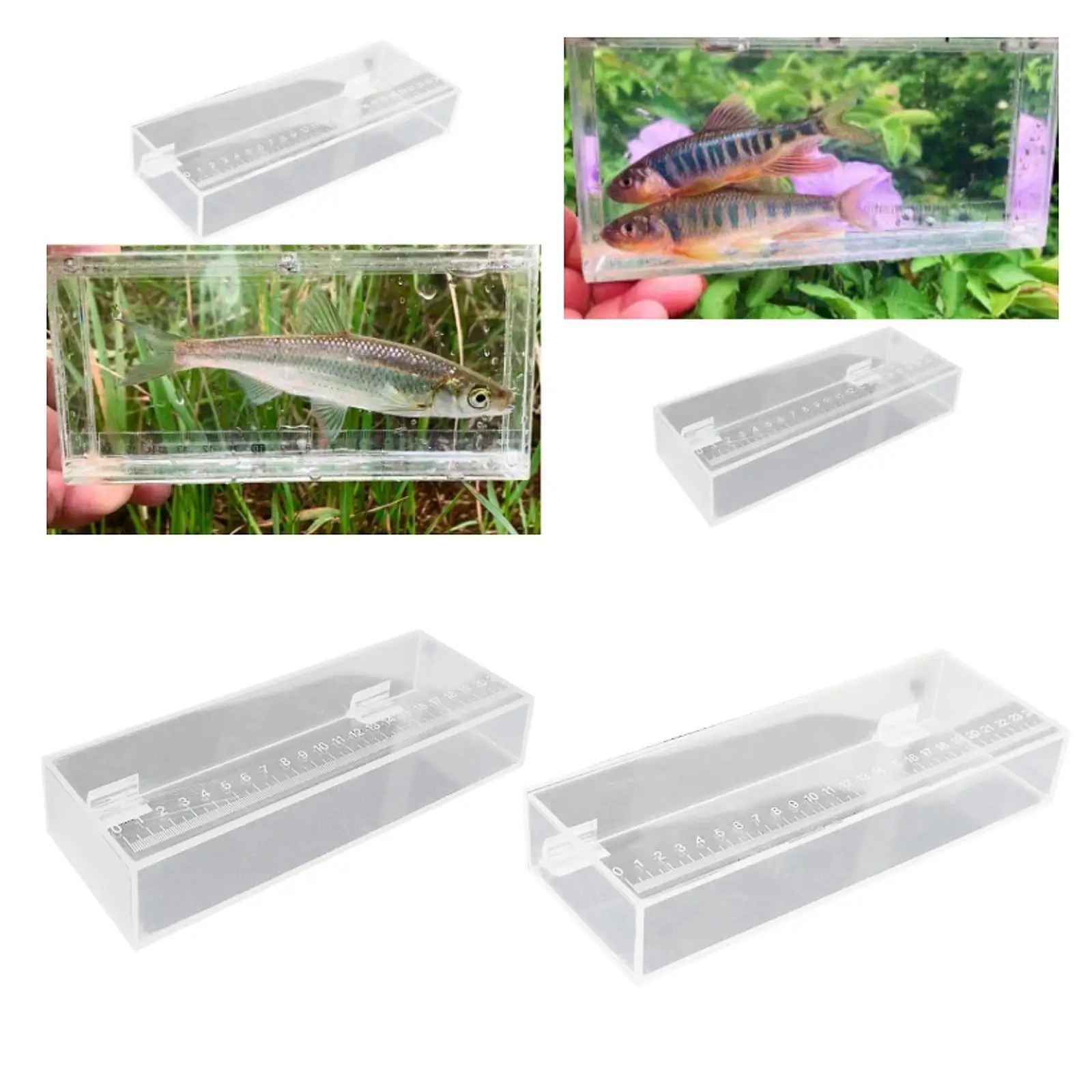 Fish Viewing Box Fish Isolation Breeder Box Acrylic Aquarium Storage Box Hatching Fish Breeder Fishing Photo Tank