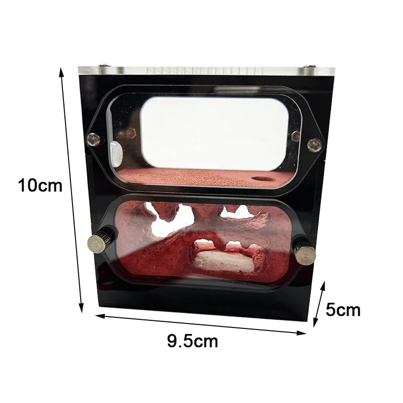 Paredes transparentes de granja de hormigas de hormigón, nido de hormigas de fácil observación, taller de antill para mascotas, casa de hormigas de insectos con torre de agua, área de caza - imagen 3