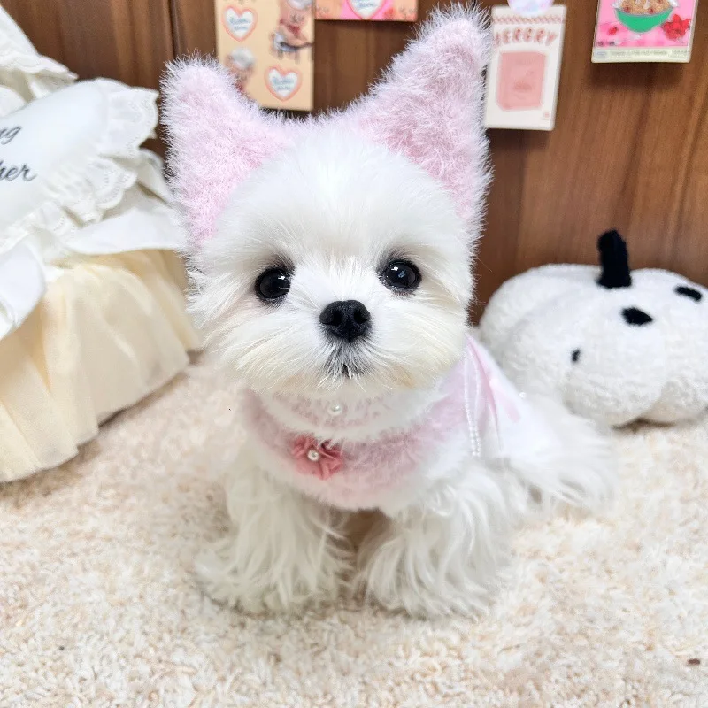 Vestido cálido de peluche para perros con falda de perlas y flores con lazo, chaleco suéter estilo Yorkshire de peluche lindo para perros pequeños y gatos |   Ropa para cachorros - imagen 4