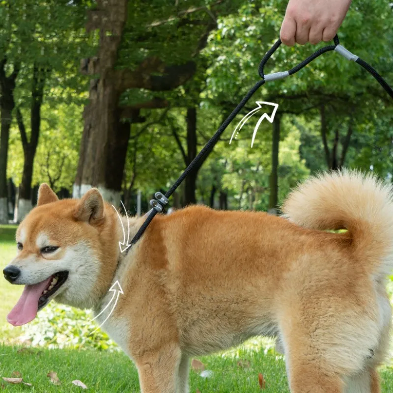 Correa ajustable para perro, Correa de doble Mango para caminar, cachorro, suministros para mascotas, 1,4 M - imagen 4