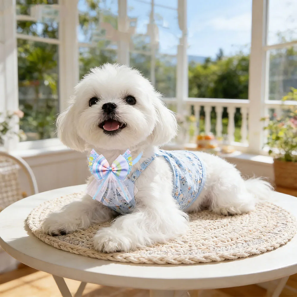 Collar encaje ajustable para gato y perro – Cachorros y razas mini - imagen 4