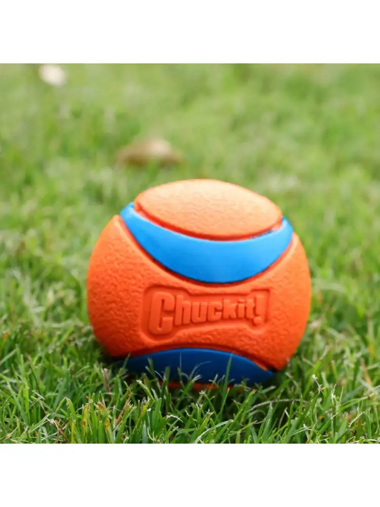 Pelota de goma para perro, juguete de resistencia a las mordeduras, divertido, Bulldog Francés, Pug, productos de entrenamiento - imagen 3