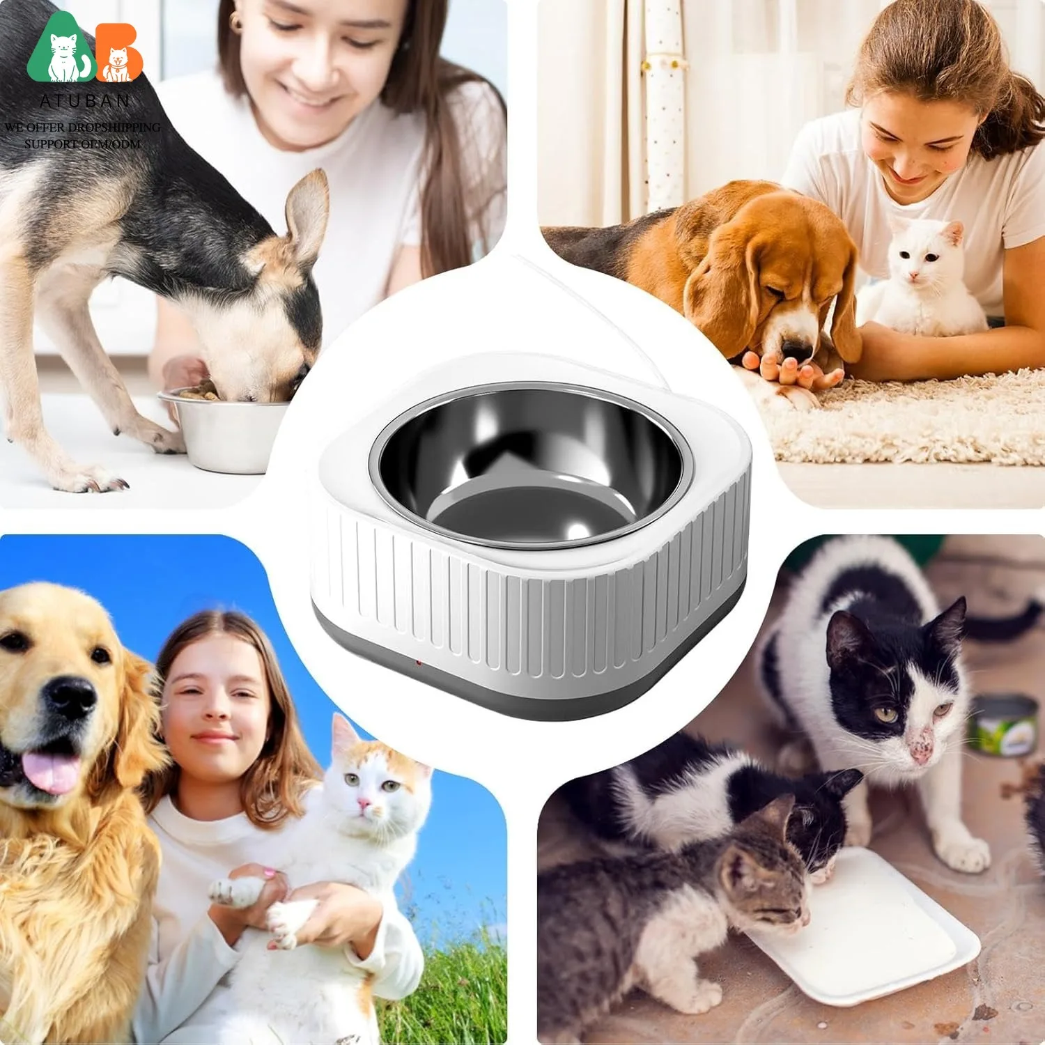 Cuenco agua caliente termostático para gatos y perros – Acero inoxidable - imagen 3